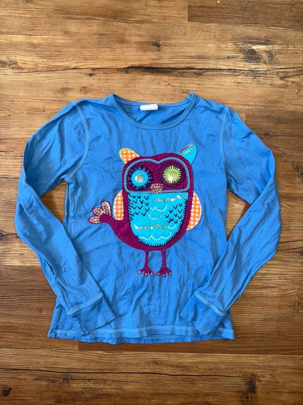 Mini Boden Bright Blue Long-Sleeve Top with Colorful Owl Patch